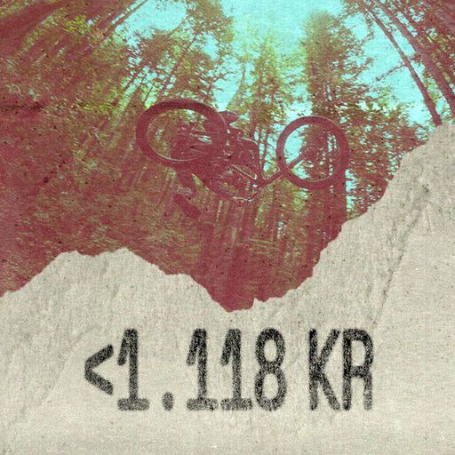 Fox Travel Gift Guide